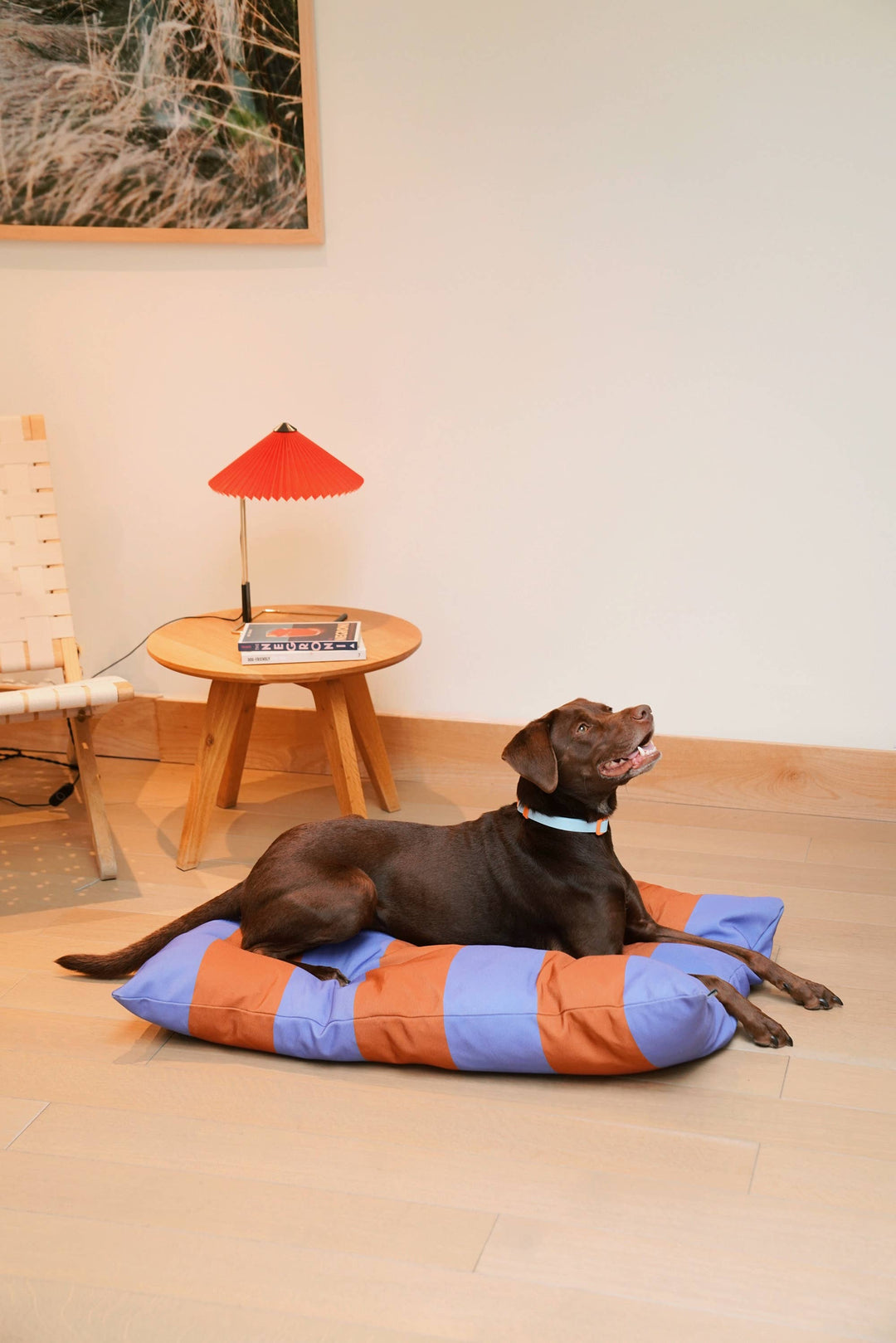 The Fritz Dog Bed | Recycled | Machine Washable