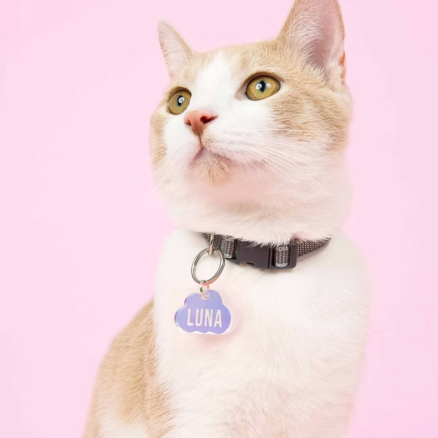 Kissamo Pet Tags