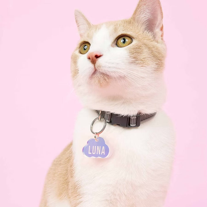 Kissamo Pet Tags