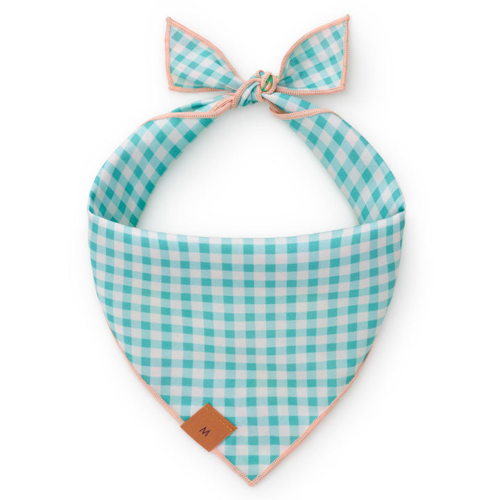 Hoppy Easter Reversible Dog Bandana