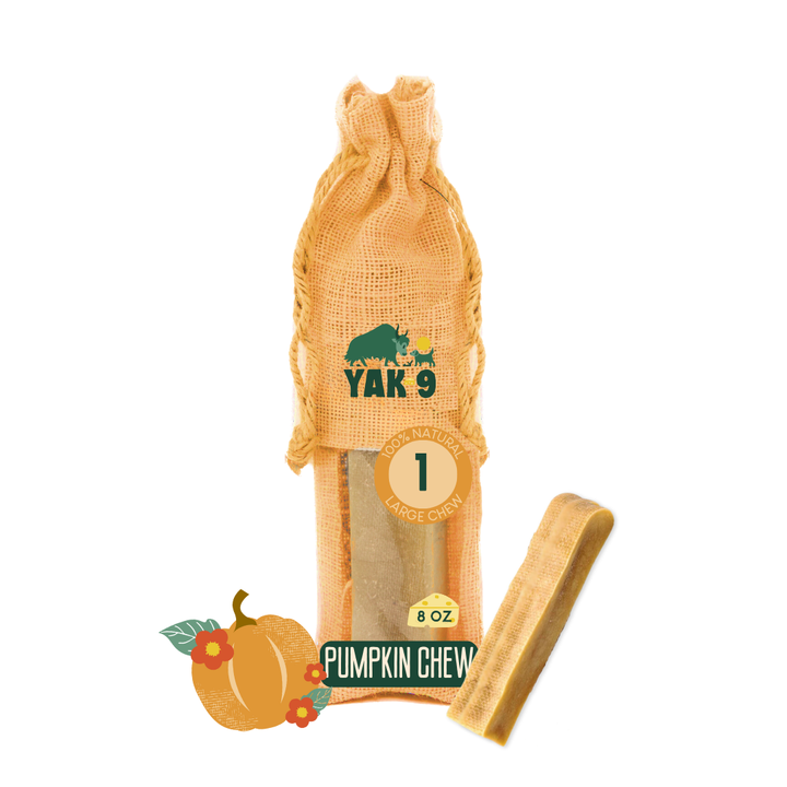 Yak9 - Pumpkin Yak Chews for Dogs - Large 8oz