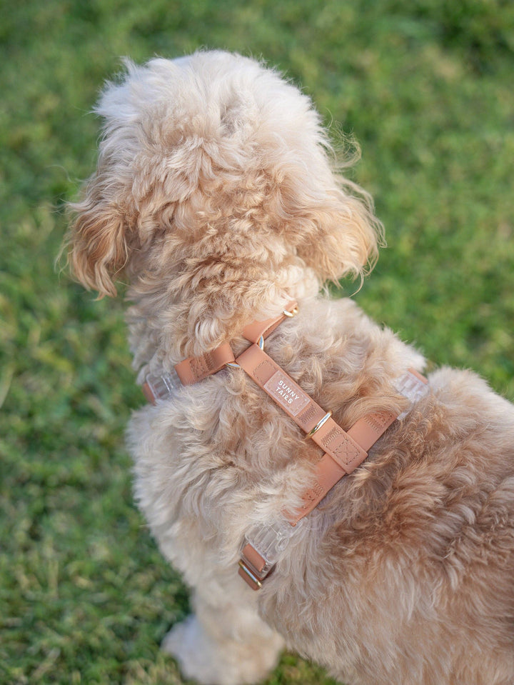 Cloud Lite Harness