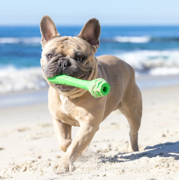 Hive Fetch Stick