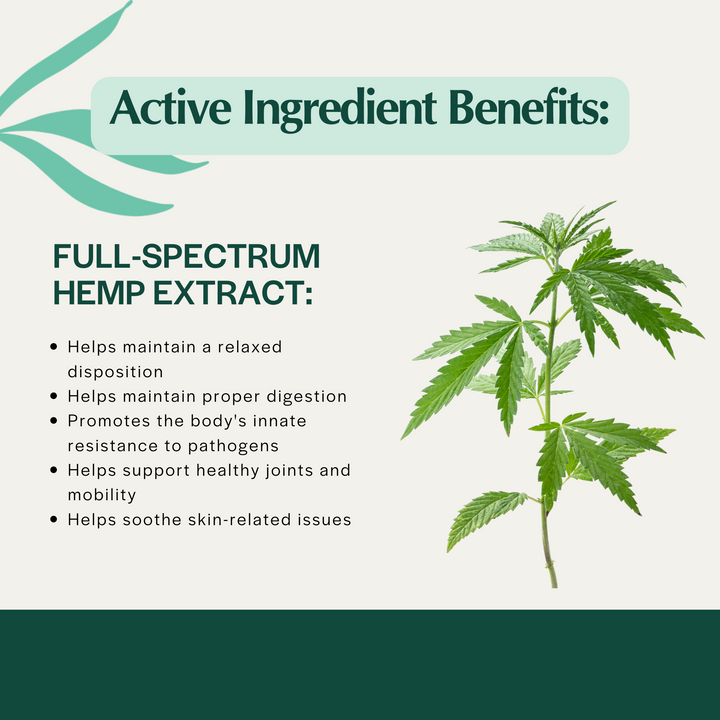 USDA Organic Stress Releaf CBD Oil