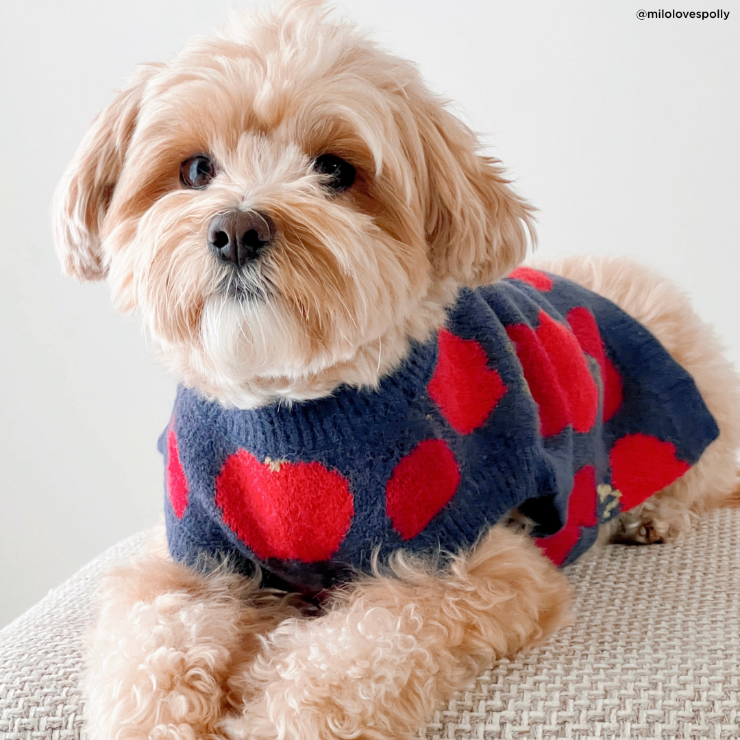 Appley Ever After Sweater