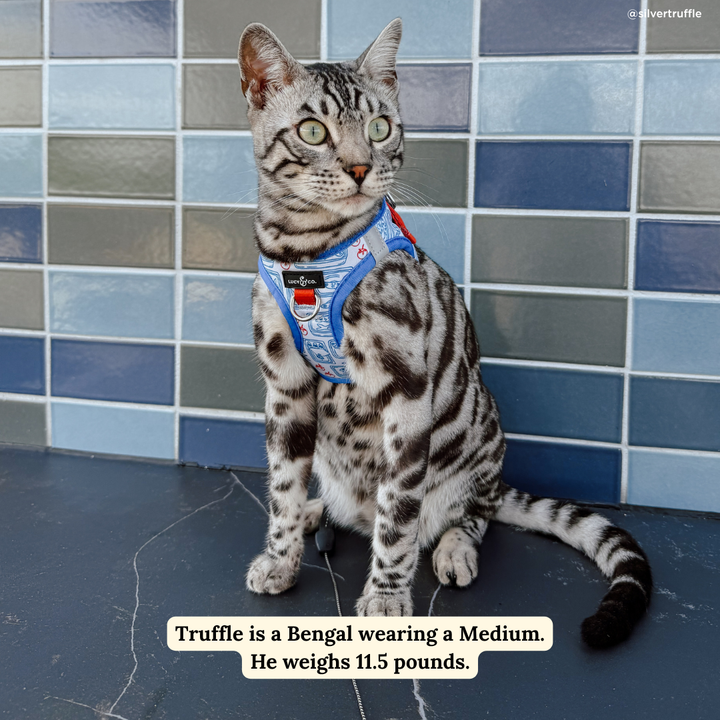 Tinned Fish Step-in Cat Harness