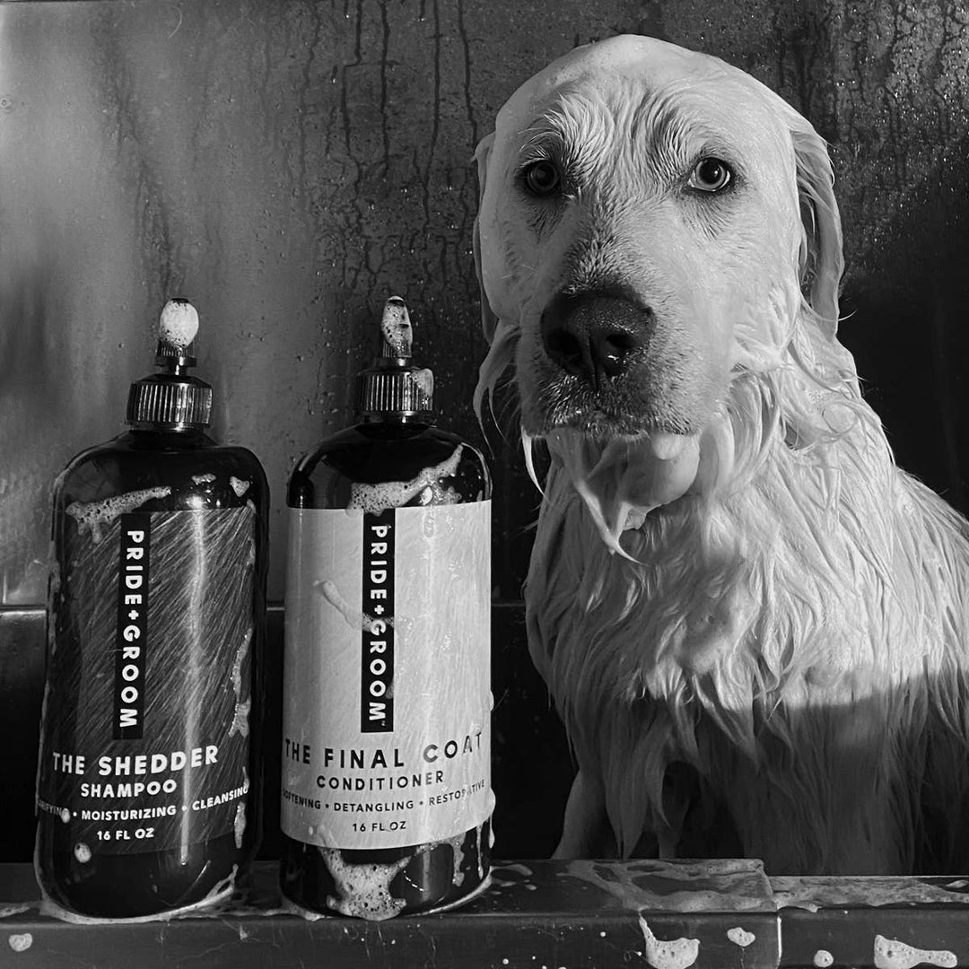 THE FINAL COAT | CONDITIONING PERFECTION FOR EVERY DOG