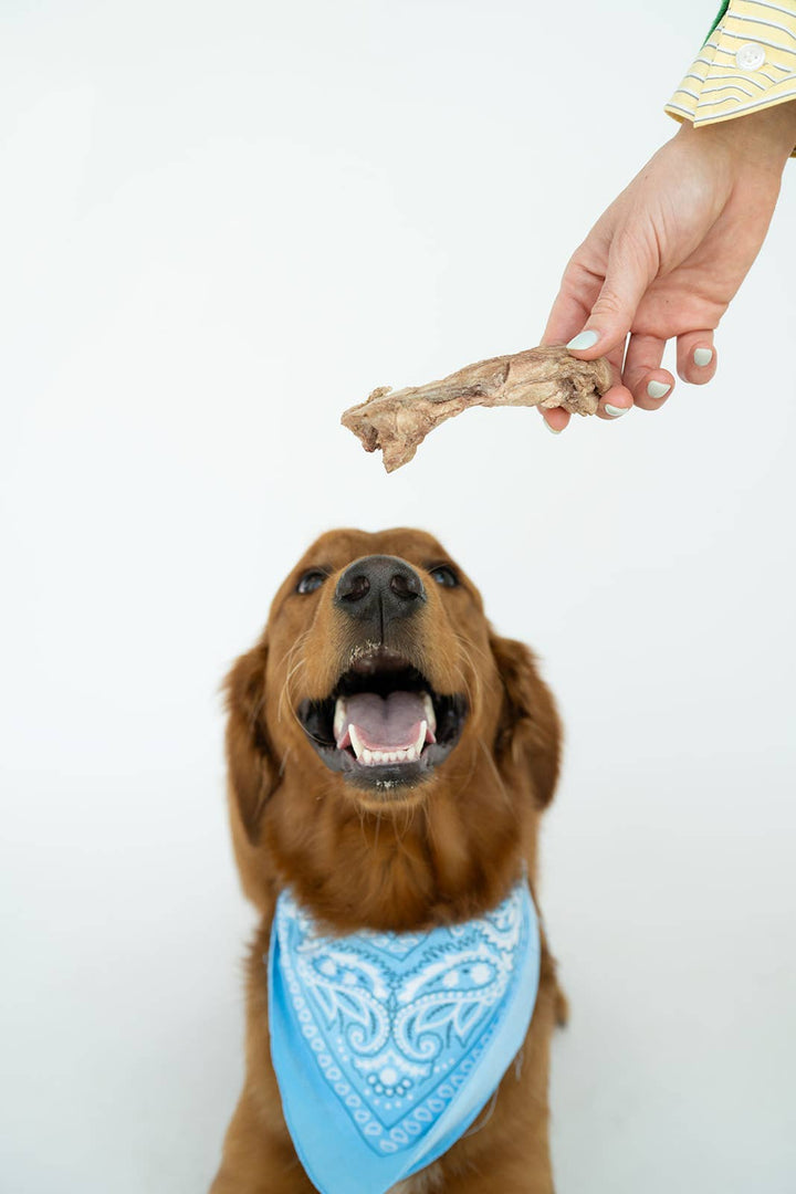 Bison Tendon Chew