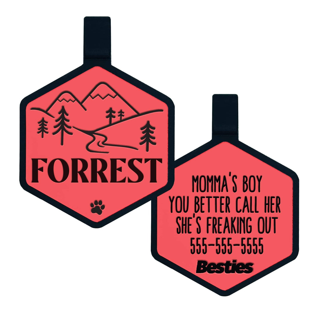 Mountain Adventure Silicone Dog ID Tag