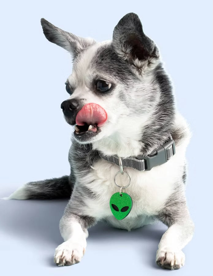 Kissamo Pet Tags