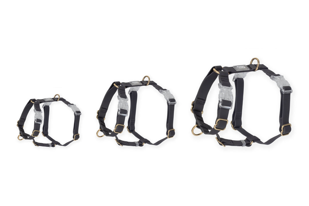 Cloud Lite Harness