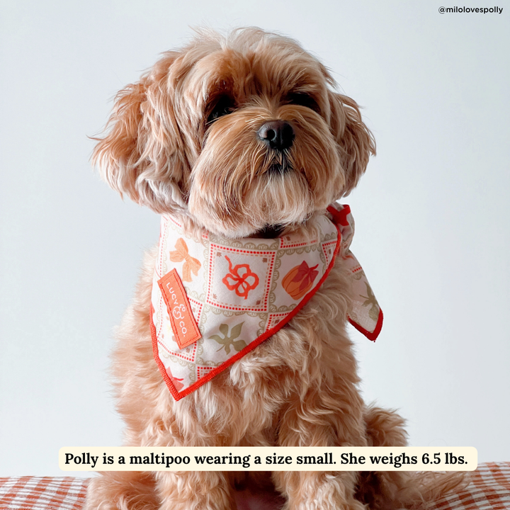 Cozy Cottage Bandana