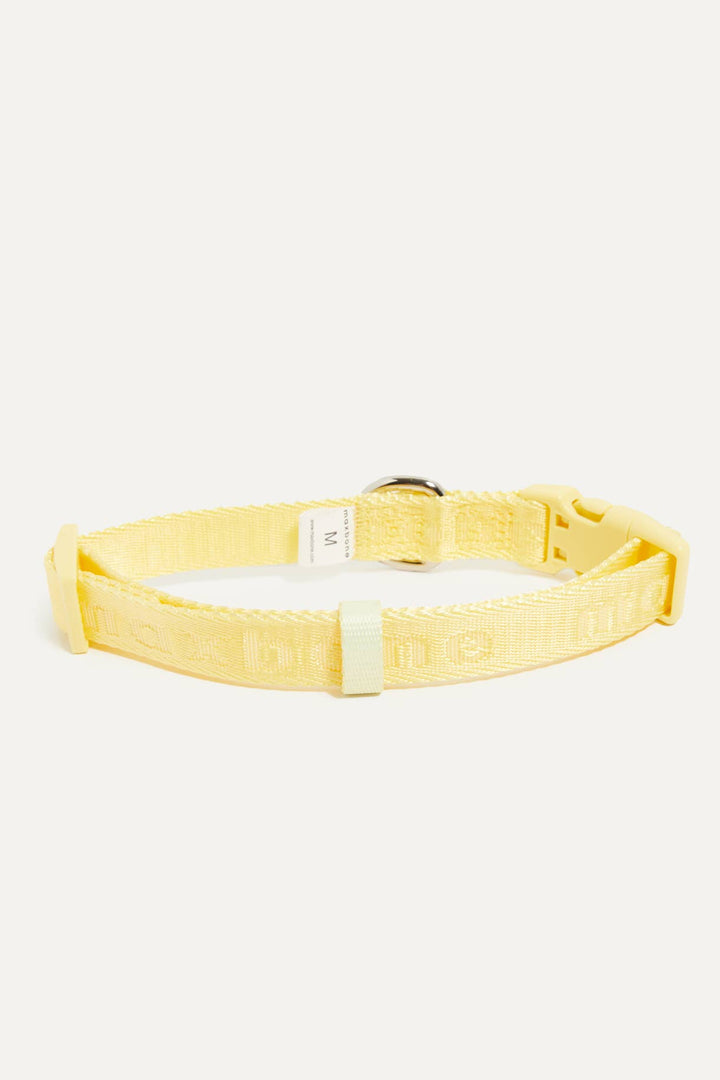 Signature Collar for Dogs