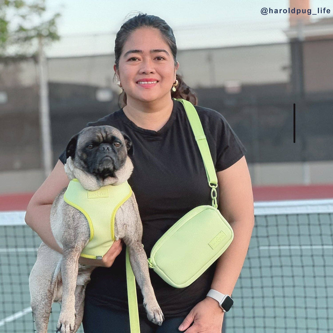 Tennis Ball Crossbody Treat Bag