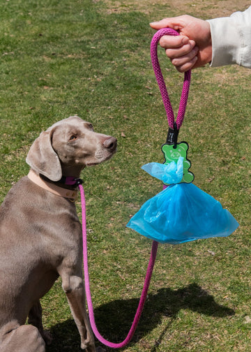 Poopy Loop Used Dog Waste Bag Holder