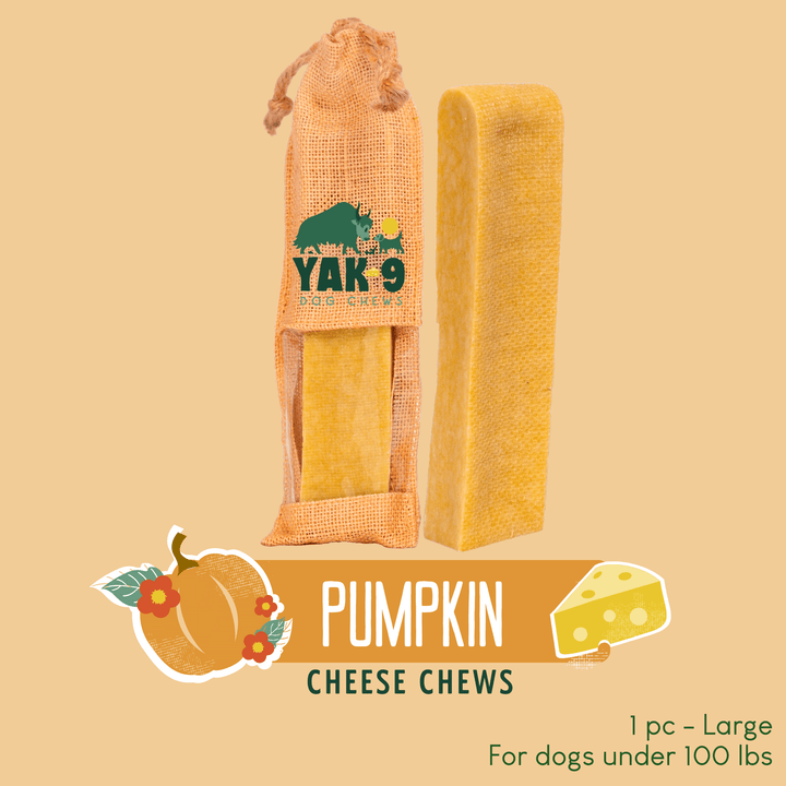 Pumpkin Yak Cheese Chew