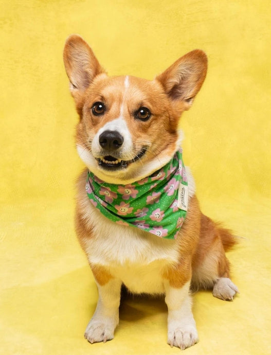 Smiley Flower Bandana