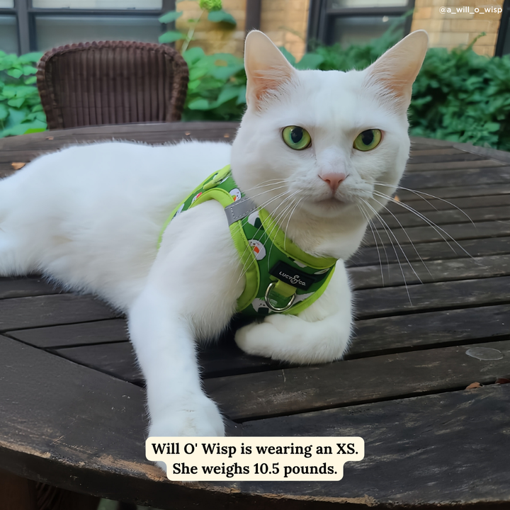 How I Roll Step-in Cat Harness