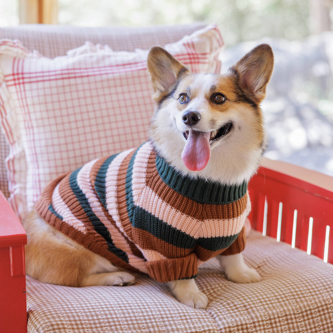 Bold Stripe Dog Sweater