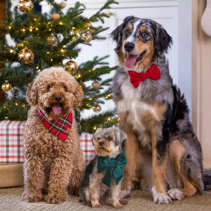 Tartan Plaid Flannel Holiday Bandana