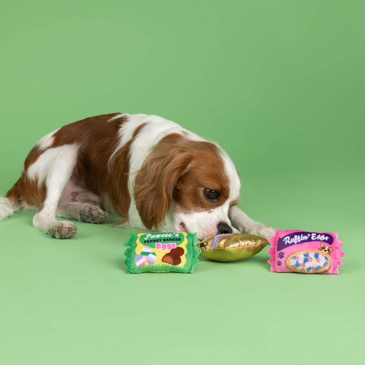 EGGSTRA SWEETS 3PCS SMALL DOG TOY