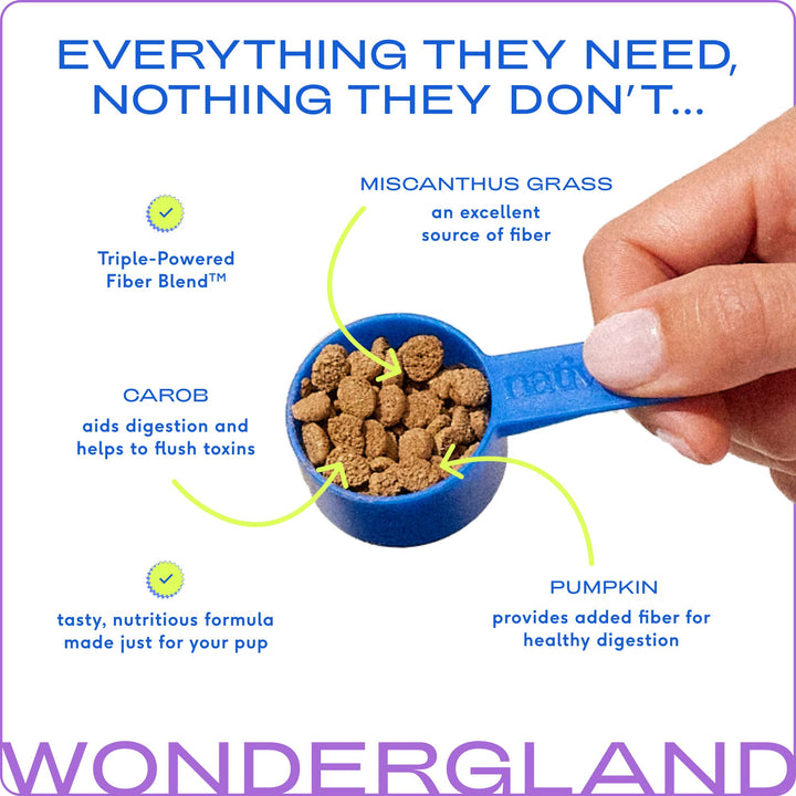 WonderGland Anal Gland Pumpkin Fiber & Digestive Supplement