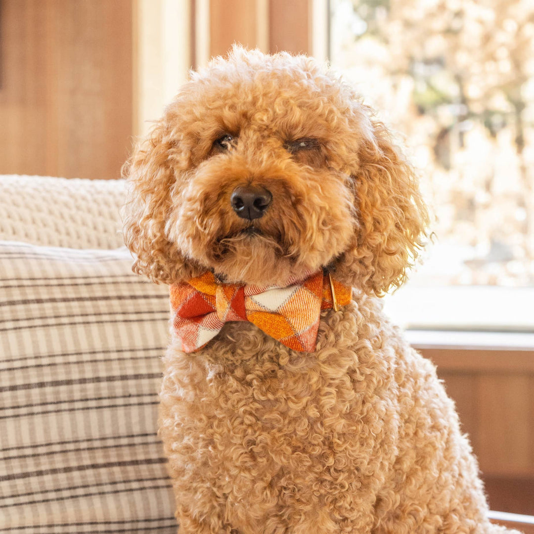 Pumpkin Spice Plaid Flannel Fall Dog Bow Tie