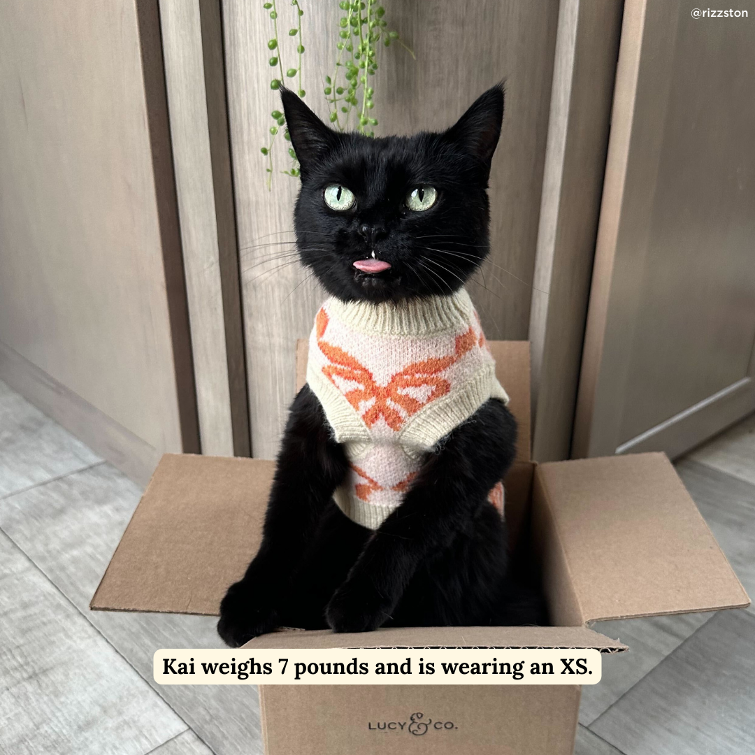 Coquette Ribbons Sweater