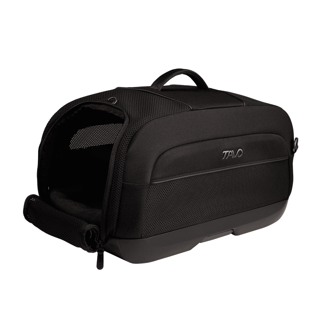 Dupree - Airline Carry-On Car Seat