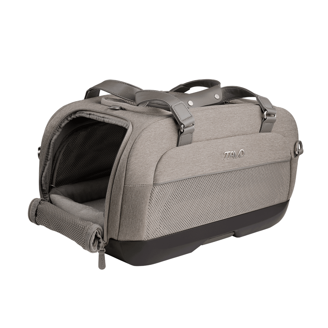 Dupree - Airline Carry-On Car Seat