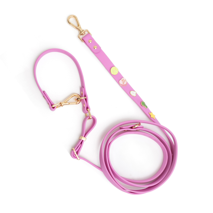 Moodies 4-in-1 Leash