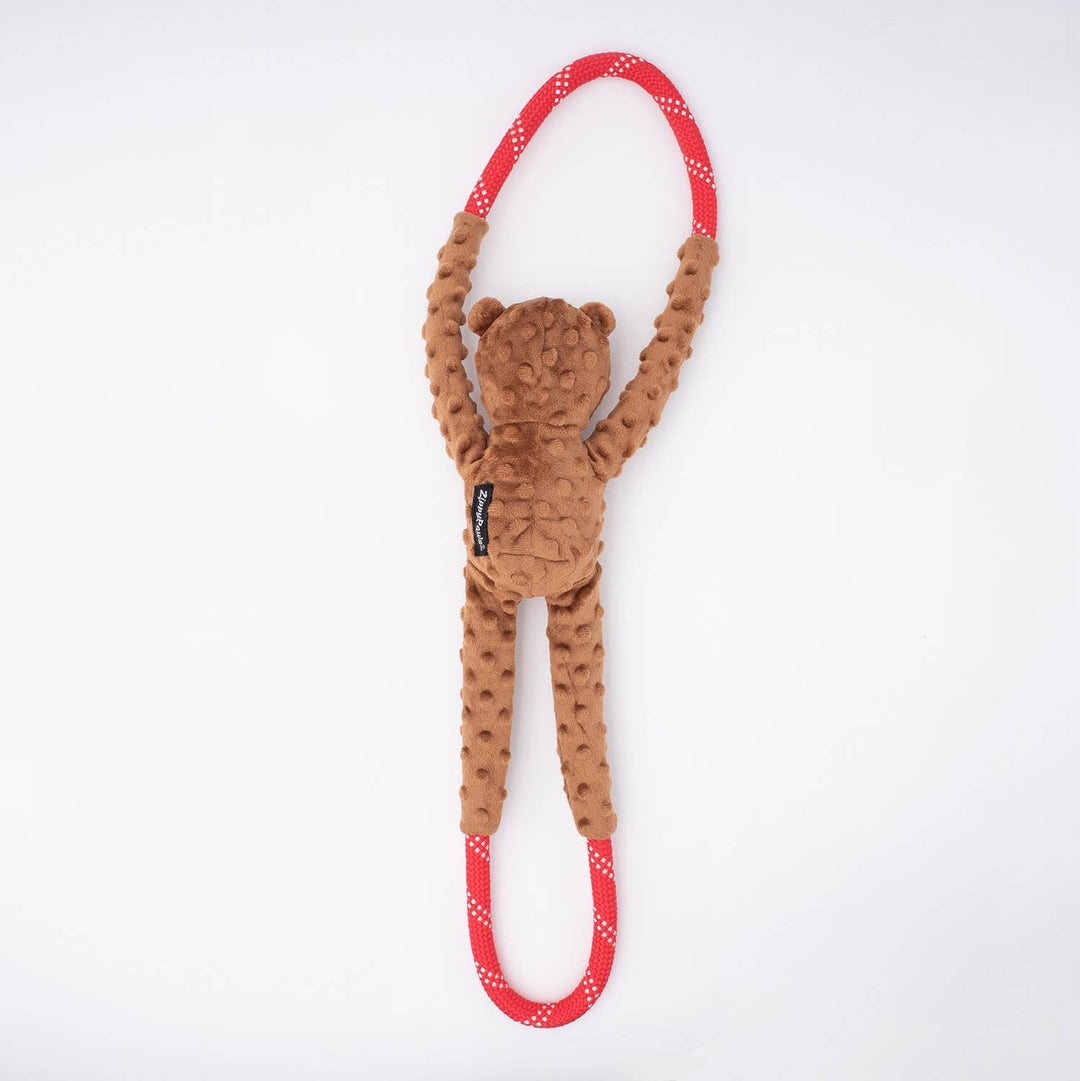 Valentine's RopeTugz® - Bear - Plush Dog Toy