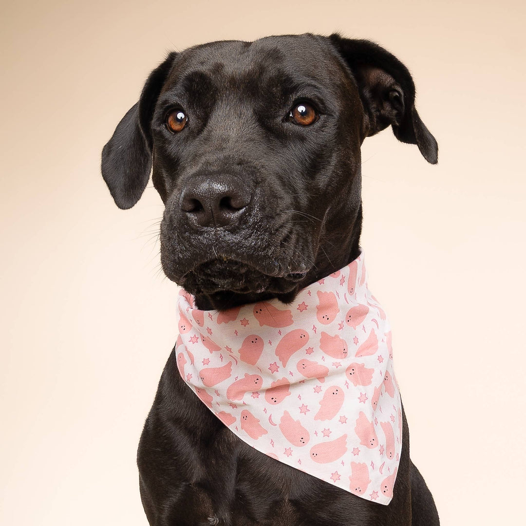 Pinkaboo Halloween Dog Bandana