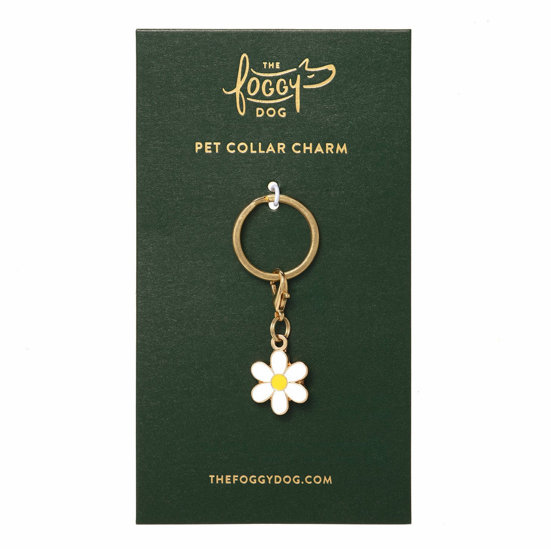 Collar Charm