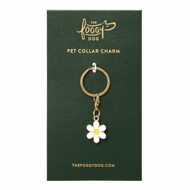 Collar Charm