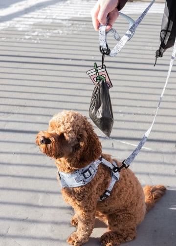 Poopy Loop Used Dog Waste Bag Holder