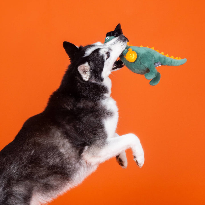 CANDY REX-PLUSH DOG TOY