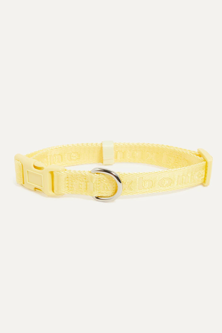 Signature Collar for Dogs