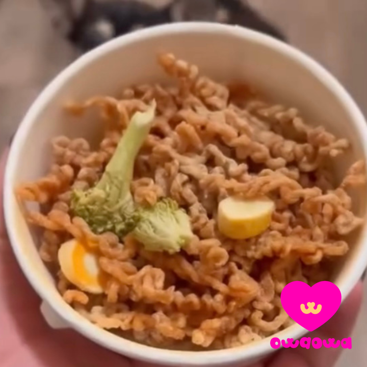 Pup Noodles Chicken- VIRAL cup noodles for dogs & cats