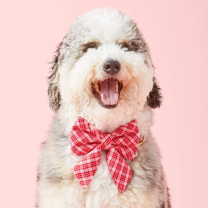 HTH x TFD Katherine Plaid Valentine Lady Dog Bow