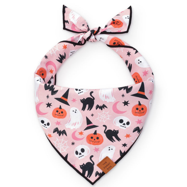 Bewitched Halloween Bandana