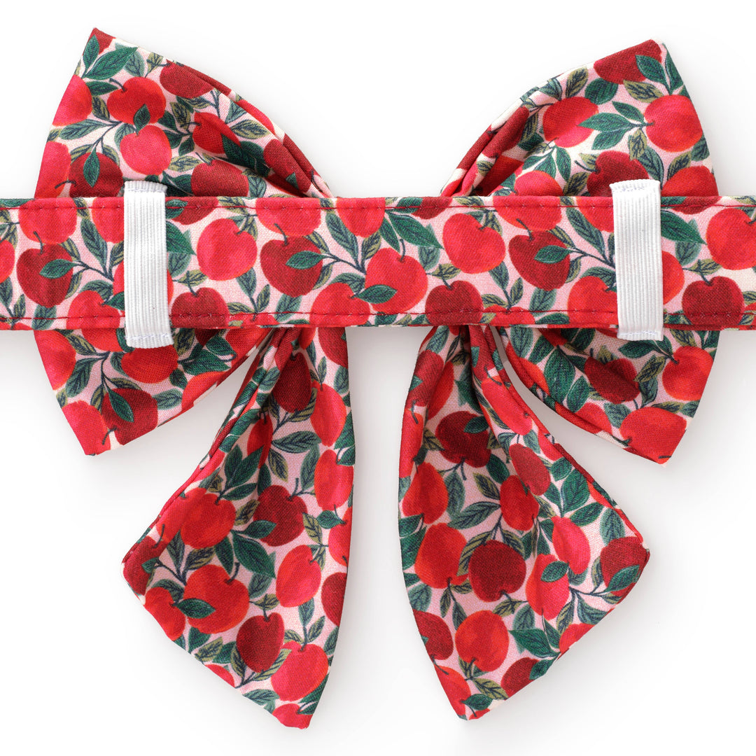 Apple of My Eye Fall Lady Dog Bow