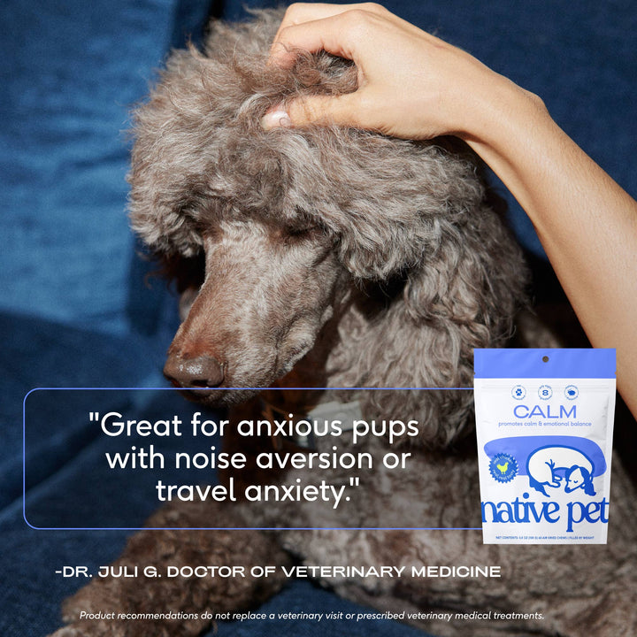 Calm Chews Anxiety & Calming Supplement for Dogs