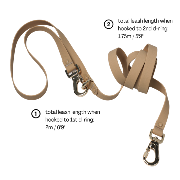 Roam MAX Hands-free Crossbody Leash