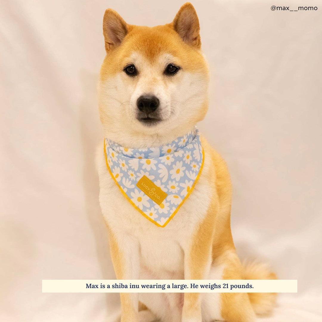 The Simply Splendid Bandana