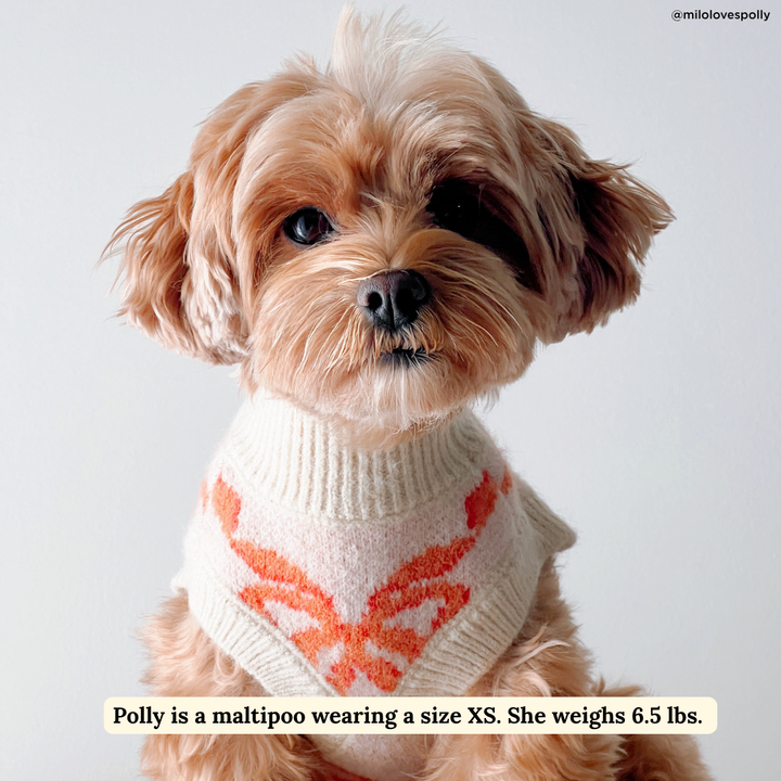 Coquette Ribbons Sweater