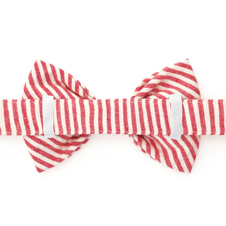 Dog Bow Tie