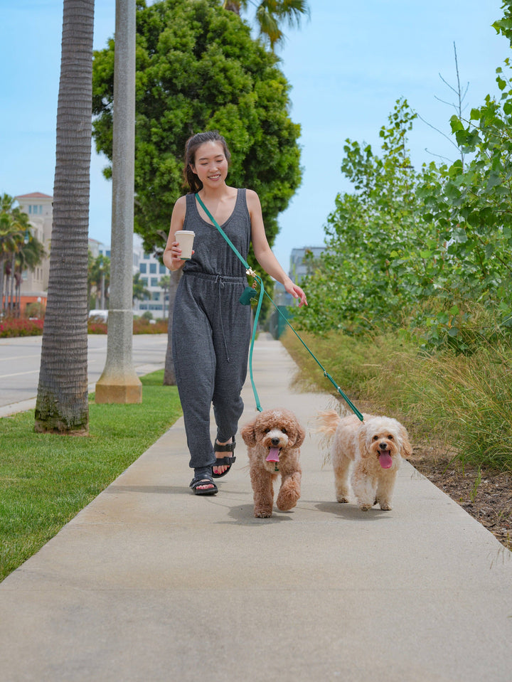 Cloud Leash 4-Way Extension