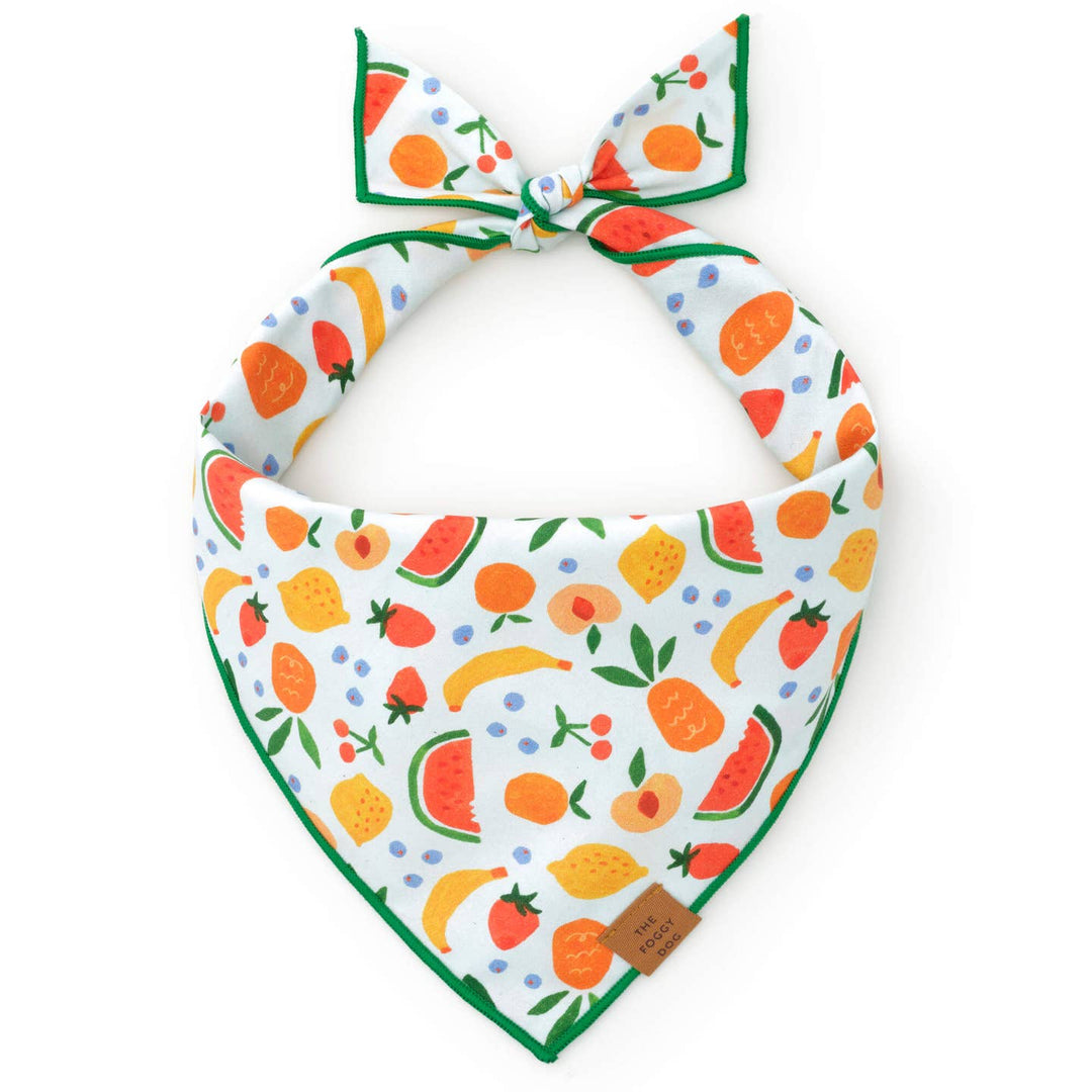 Fruit Salad Summer Dog Bandana