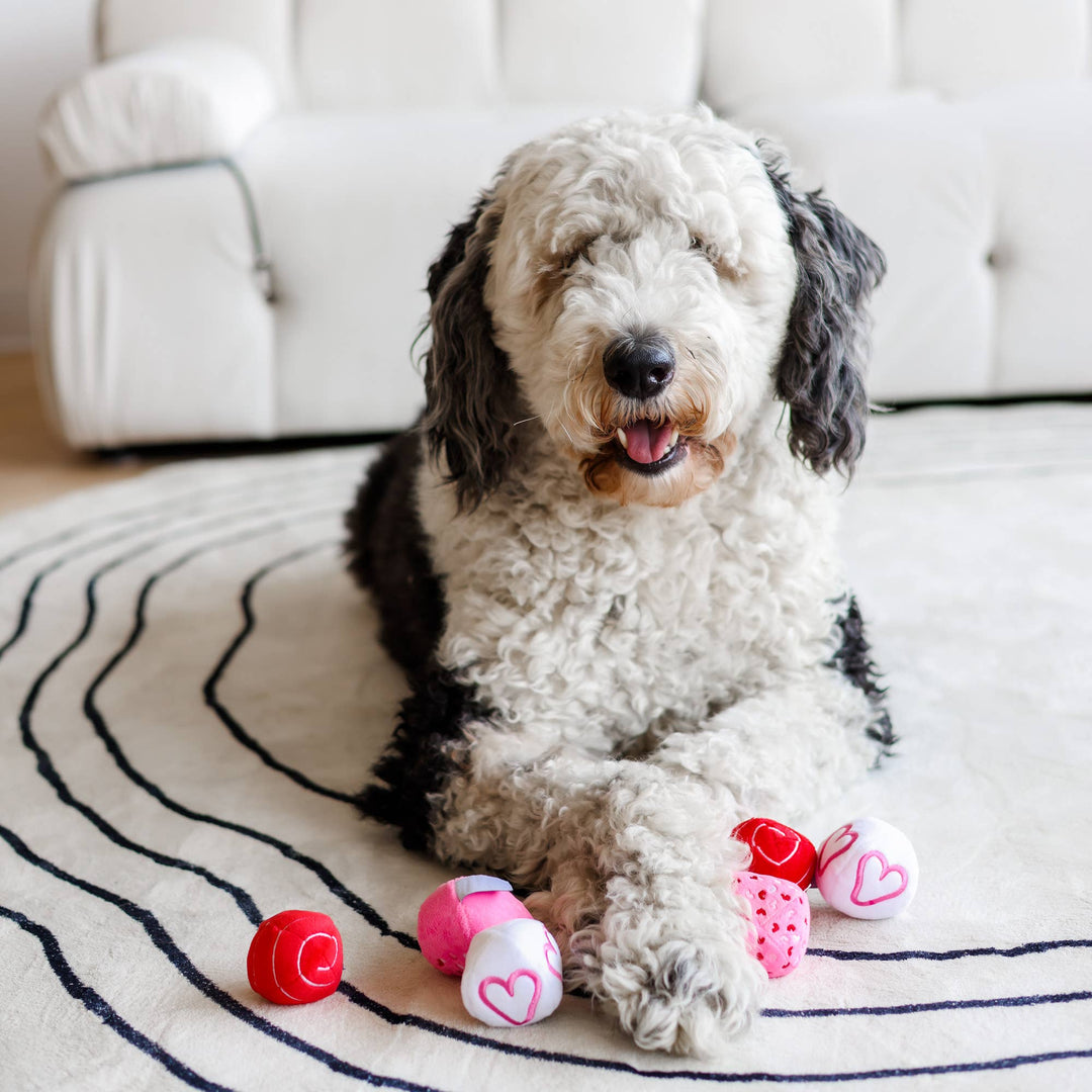 Midlee Valentine Plush Balls Dog Toy - Set of 6